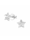 Clous d'oreilles étoile striée argent 925