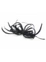 Barrette noire à plumes